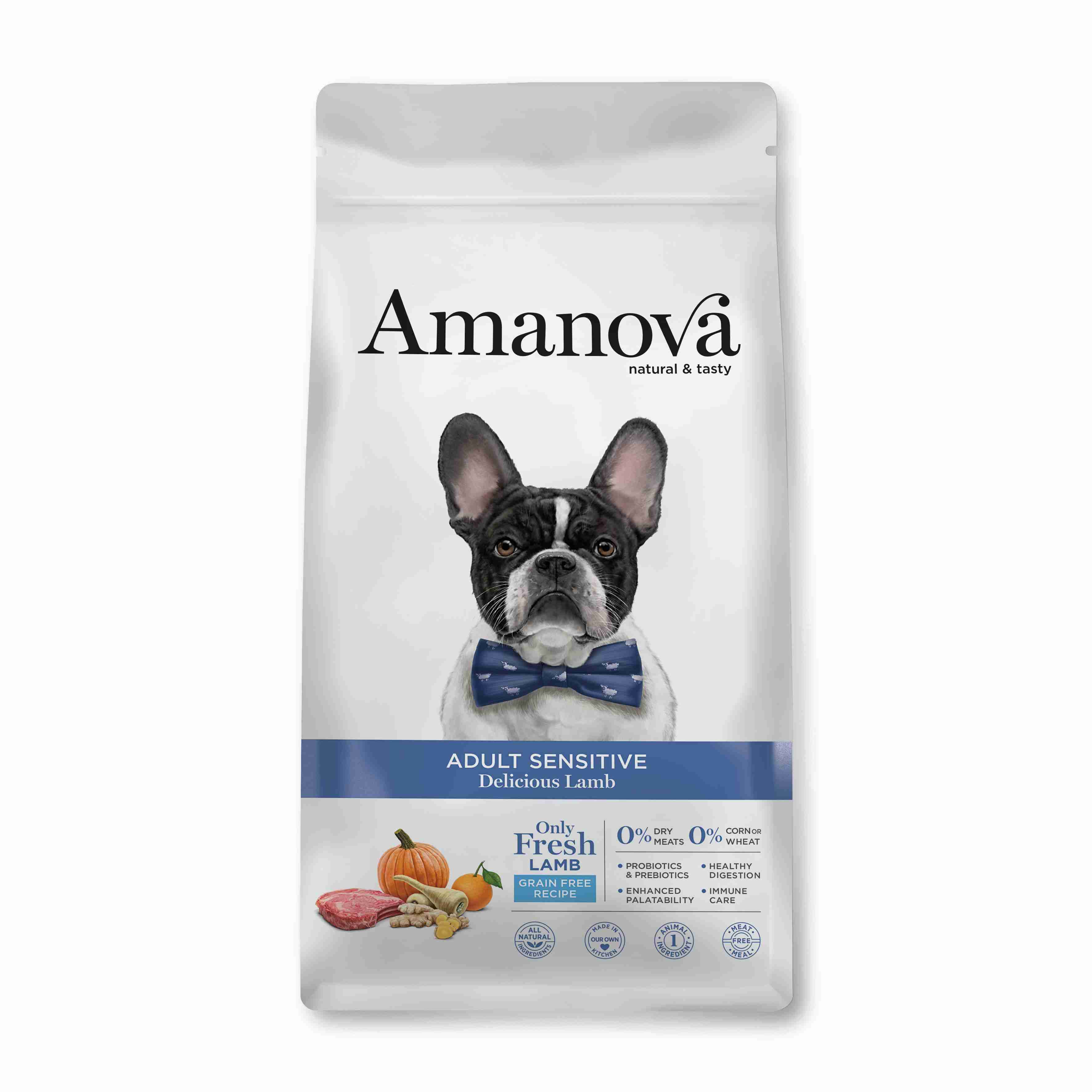 Best Pet Groomer
